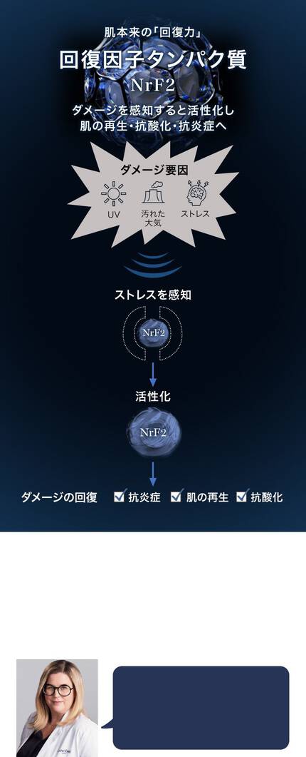 回復因子タンパク質 (NrF2)