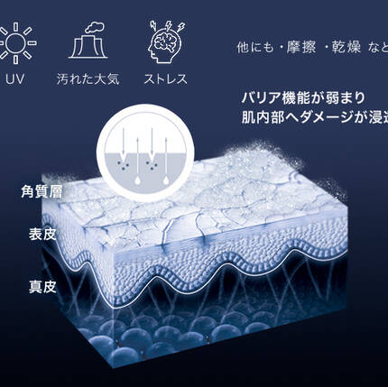 バリア機能が弱まり肌内部へダメージが浸透