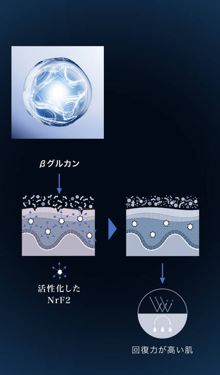 βグルカンとは?