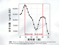 老化の波は2回ある