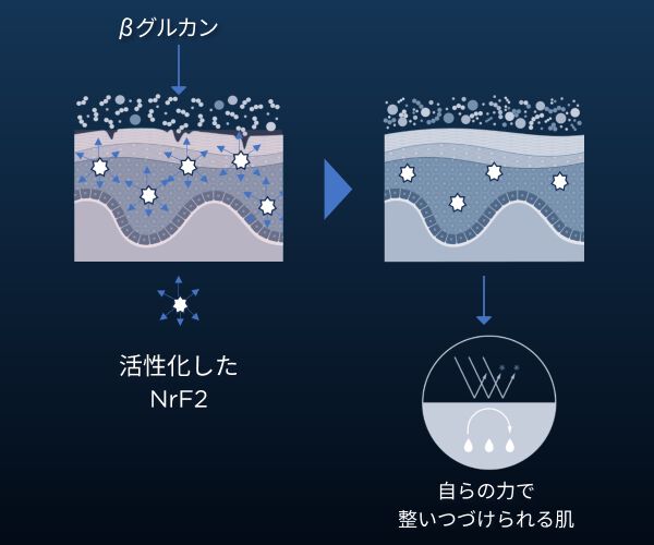 βグルカンとは?