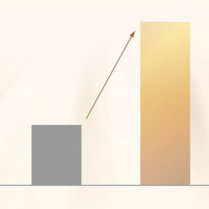 Ⅰ型コラーゲンの産生 +170%*