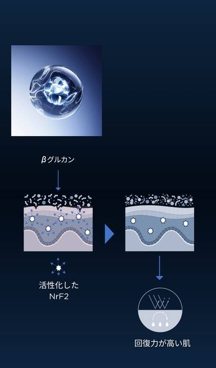 βグルカンとは?