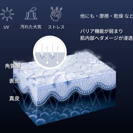 バリア機能が弱まり肌内部へダメージが浸透