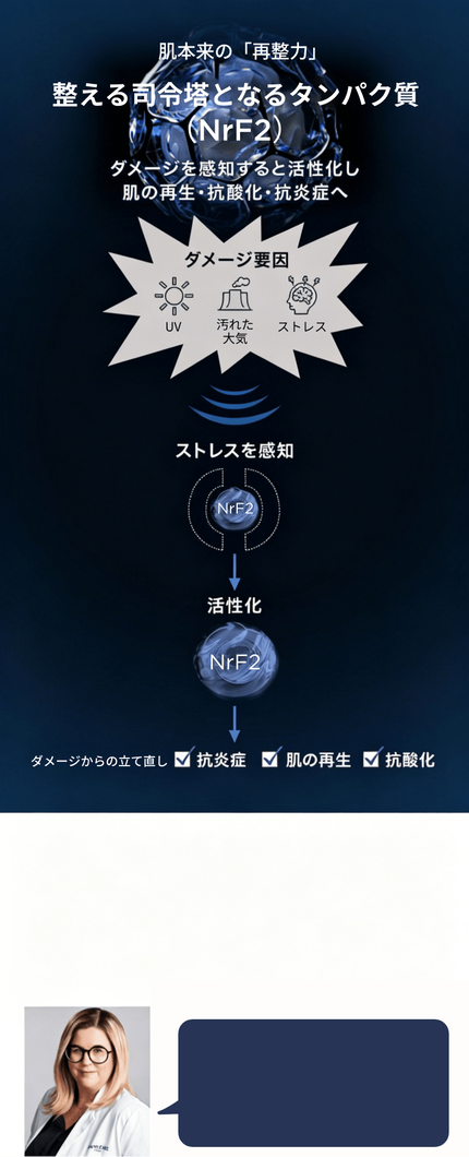 回復因子タンパク質 (NrF2)
