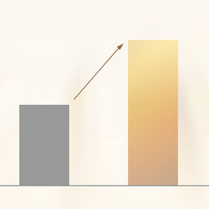 細胞の長寿代謝 +80%*