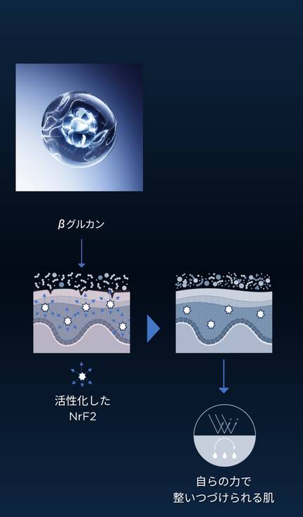 βグルカンとは?