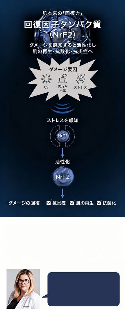 回復因子タンパク質 (NrF2)