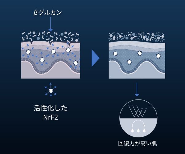 βグルカンとは?