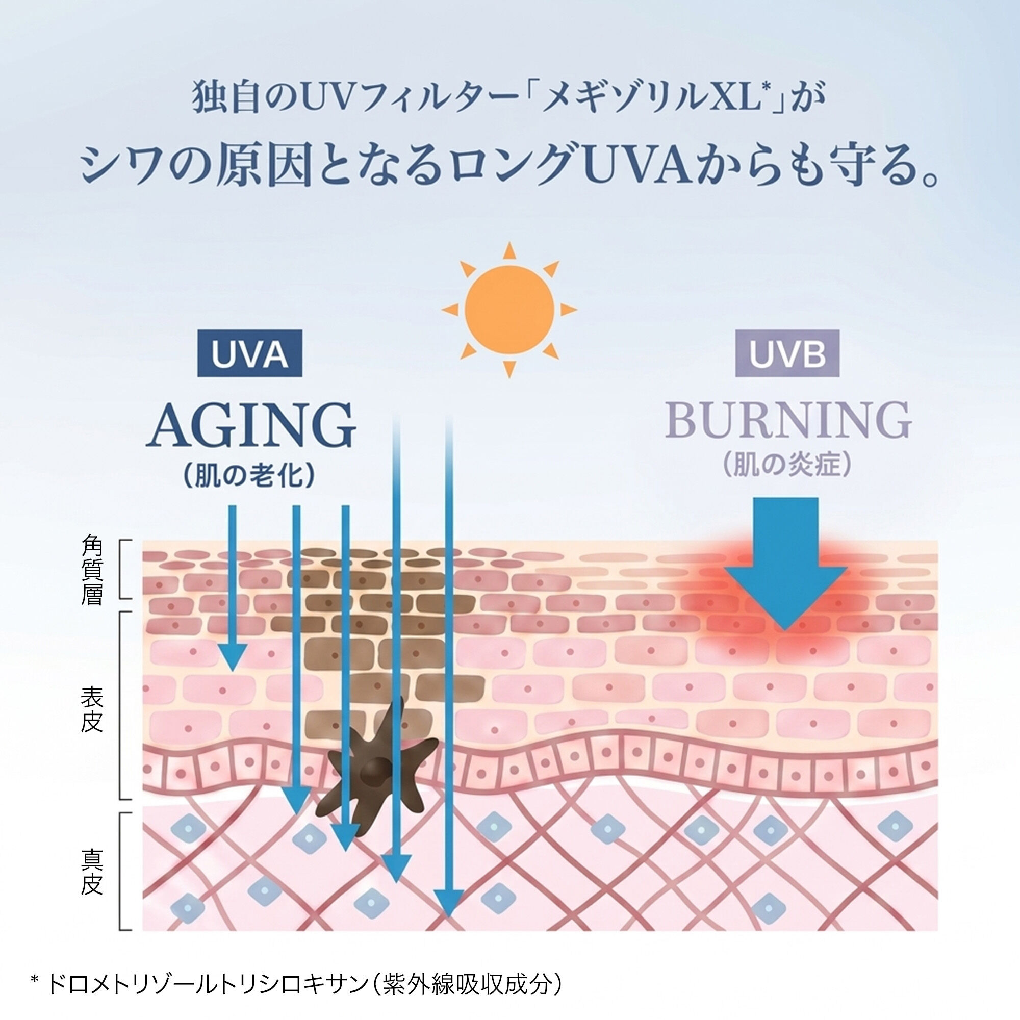 UV エクスペール M.E.D. シールド