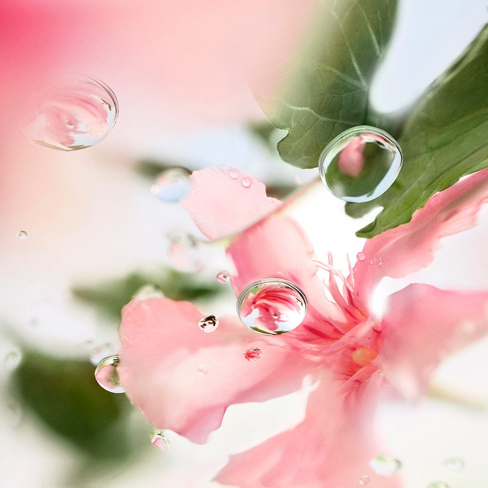 オーバー ザ トップ オー ドゥ トワレ