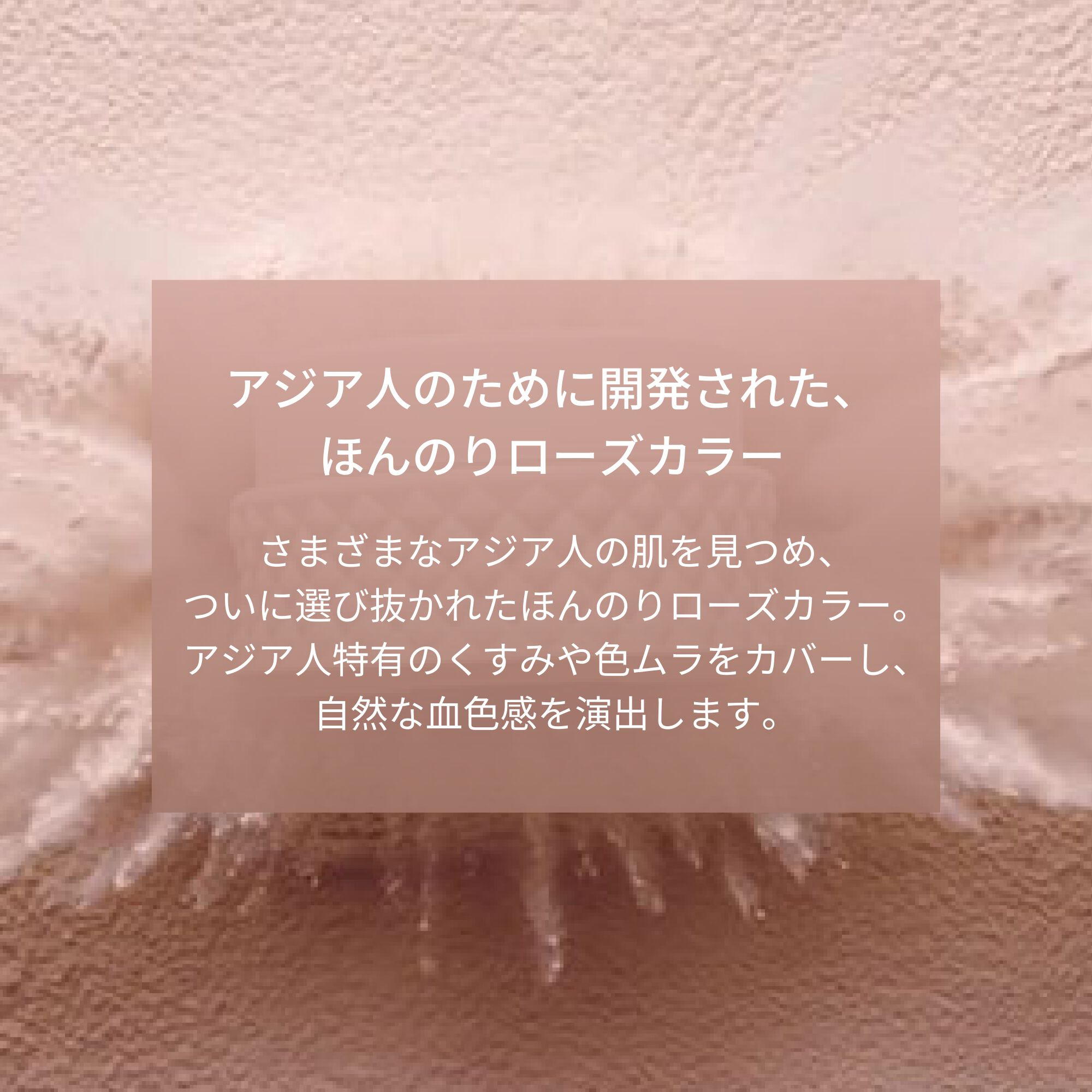 アプソリュ ベースメイク キット（クッションコンパクト）