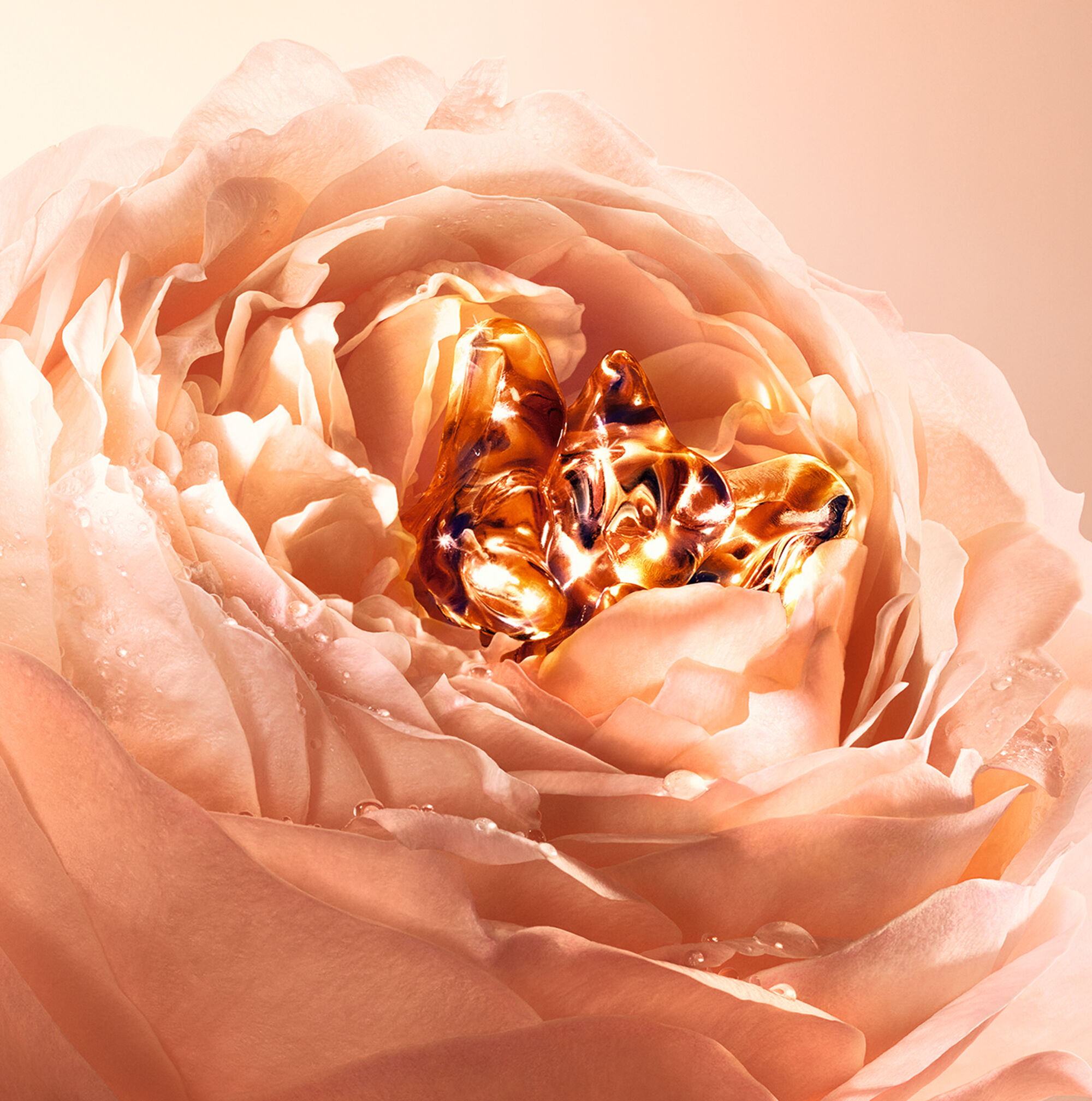 アプソリュ タン サブリムエッセンス クリーム