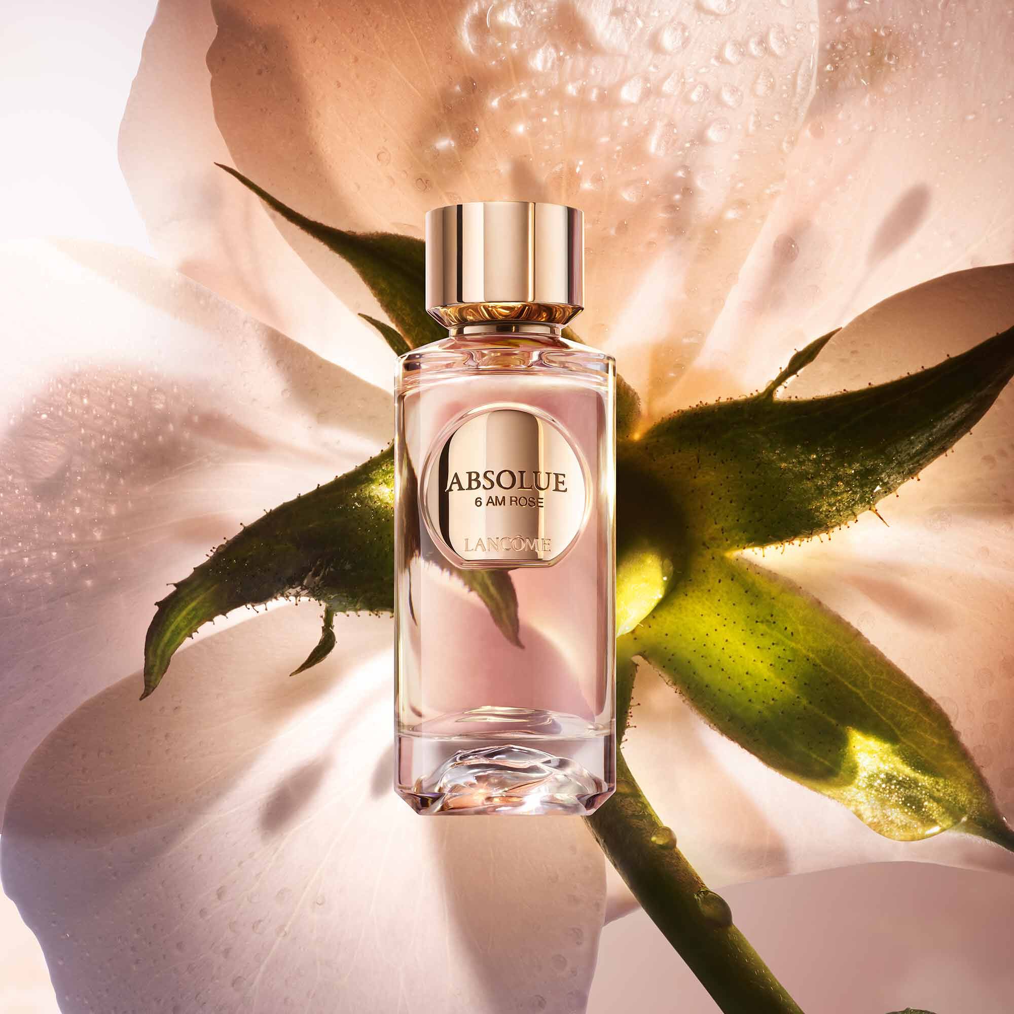 アプソリュ 6AM ローズ