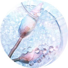 酵素のイメージ画像